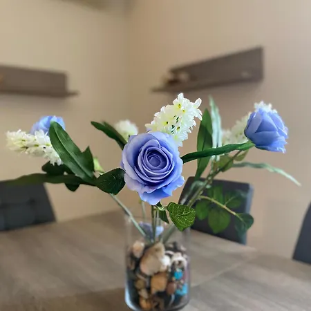 Sea View Apartman Koriszía