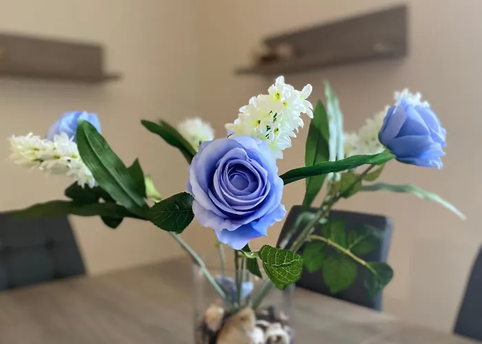 Sea View Apartman Koriszía